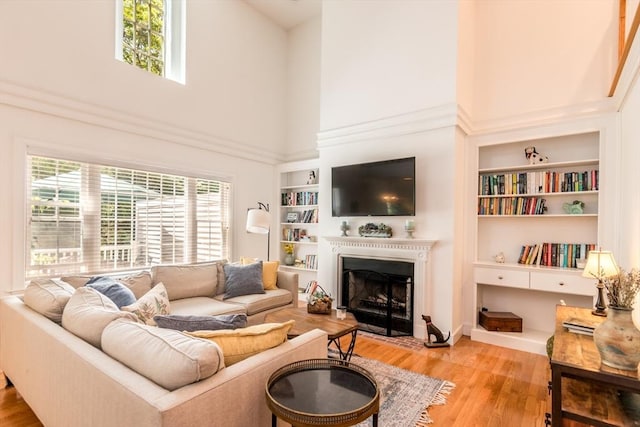 15 Hampton Ct Unit 15, Mashpee, MA 02649 - living room with a high ceiling, wood finished floors, a fireplace with flush hearth, and built in features