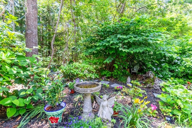 15 Hampton Ct Unit 15, Mashpee, MA 02649 - view of yard