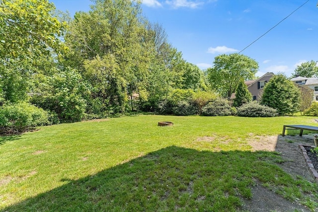 view of grassy yard