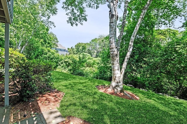 10 Freedom Holw Unit 10, Salem, MA 01970 - view of grassy yard