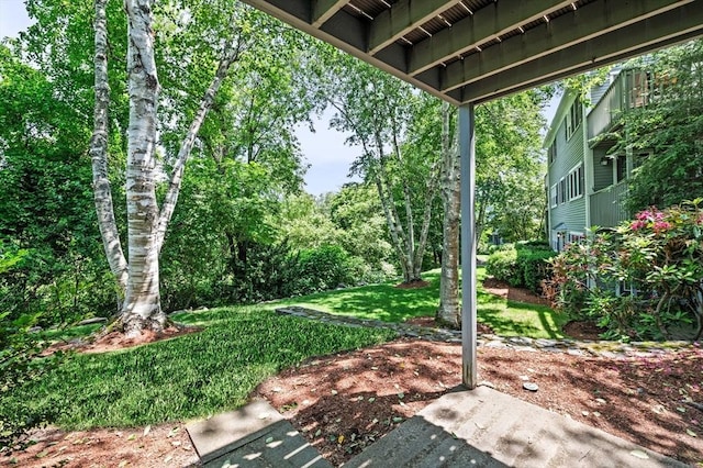 10 Freedom Holw Unit 10, Salem, MA 01970 - view of grassy yard
