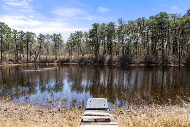 dock area featuring a water view