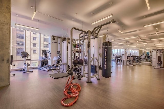 188 Brookline Ave Unit 23C, Boston, MA 02215 - workout area featuring floor to ceiling windows, healthy amount of natural light, and wood finished floors
