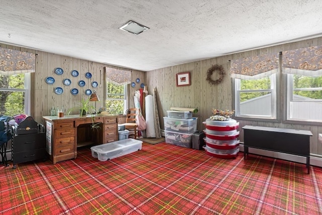 77 Center St, Ashburnham, MA 01430 - office space with carpet floors, a textured ceiling, plenty of natural light, and wood walls