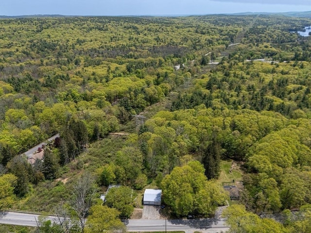 77 Center St, Ashburnham, MA 01430 - view of property location with a heavily wooded area