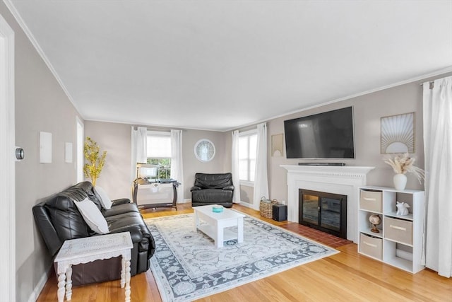 2 Ridge Rd, East Longmeadow, MA 01028 - living room with wood finished floors, a glass covered fireplace, crown molding, and baseboards