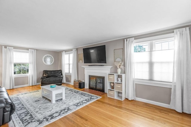 2 Ridge Rd, East Longmeadow, MA 01028 - living room with baseboards, a glass covered fireplace, light wood-type flooring, and crown molding