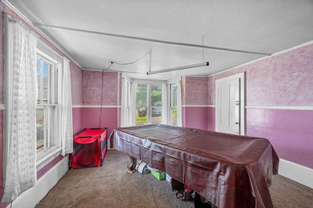 17-19 Whitehall Rd, Amesbury, MA 01913 - recreation room featuring carpet flooring, billiards, and wainscoting