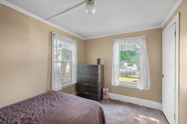 17-19 Whitehall Rd, Amesbury, MA 01913 - bedroom featuring carpet floors and crown molding
