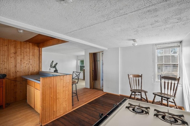 17-19 Whitehall Rd, Amesbury, MA 01913 - bar featuring a textured ceiling, light wood-style flooring, and wood walls