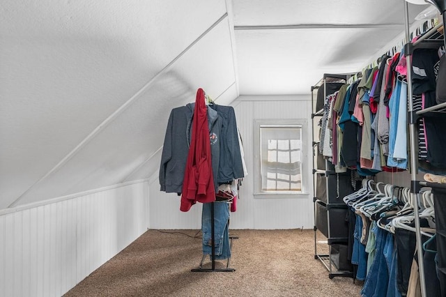 17-19 Whitehall Rd, Amesbury, MA 01913 - spacious closet with lofted ceiling and carpet floors