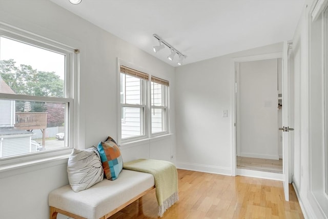 215 Norfolk St Unit 2, Cambridge, MA 02139 - sitting room with rail lighting and light wood finished floors