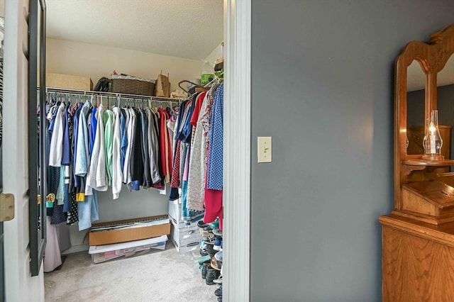 20 Bowdoin Dr, Haverhill, MA 01830 - walk in closet featuring carpet flooring