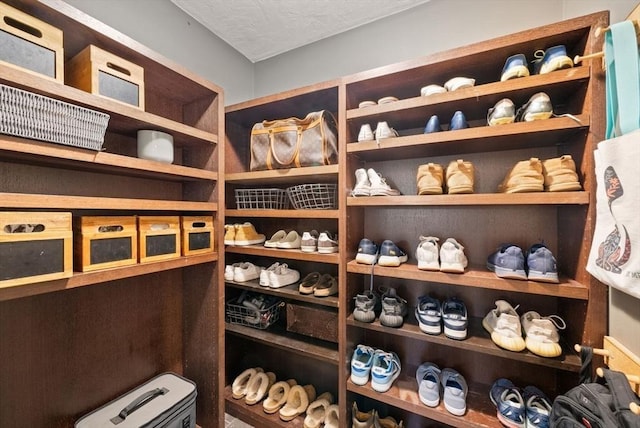 176 Spring St, Hopkinton, MA 01748 - view of storage room