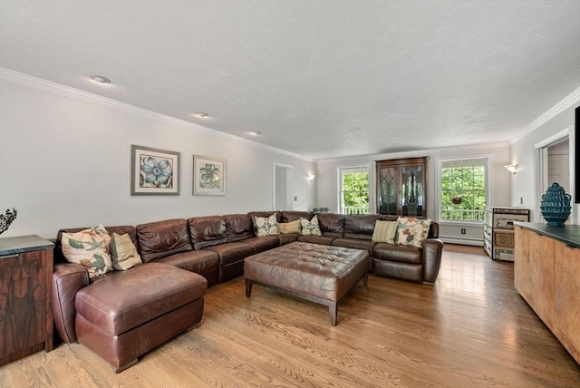 176 Spring St, Hopkinton, MA 01748 - living room with wood finished floors, ornamental molding, and baseboard heating