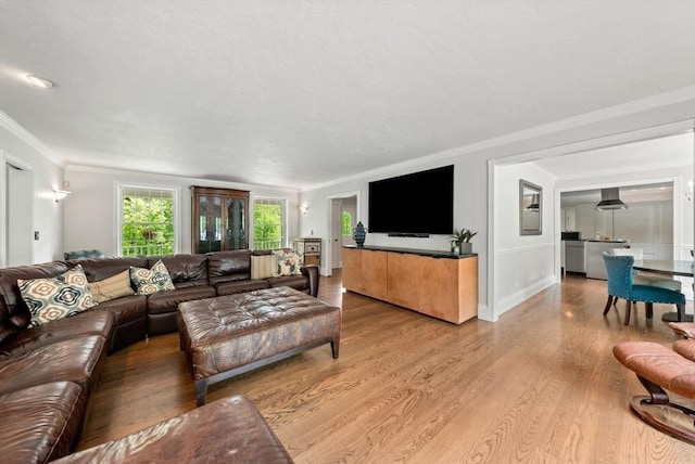 176 Spring St, Hopkinton, MA 01748 - living room with light wood-type flooring and ornamental molding