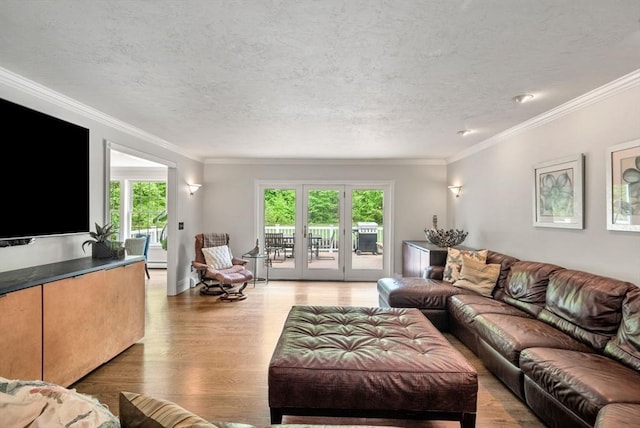 176 Spring St, Hopkinton, MA 01748 - living room featuring light wood finished floors, ornamental molding, and a textured ceiling