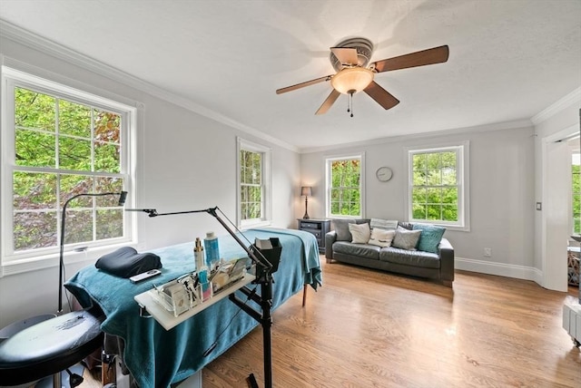 176 Spring St, Hopkinton, MA 01748 - bedroom with ornamental molding, multiple windows, wood finished floors, baseboards, and ceiling fan