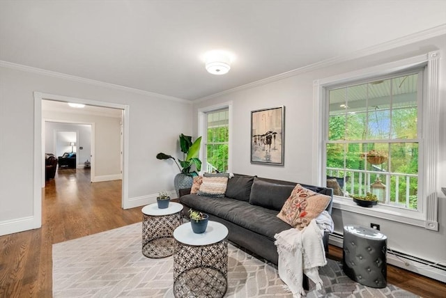 176 Spring St, Hopkinton, MA 01748 - living area featuring a baseboard heating unit, crown molding, baseboards, and wood finished floors
