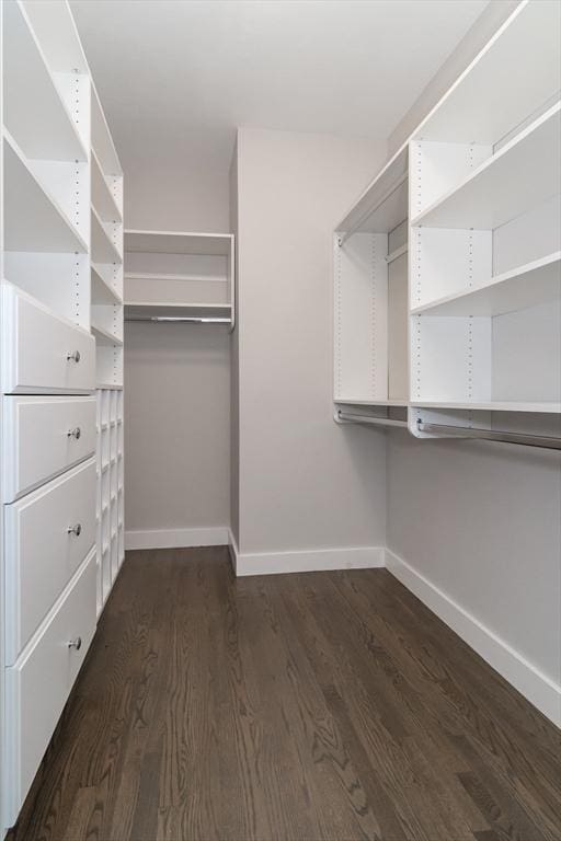 walk in closet with dark wood-style flooring