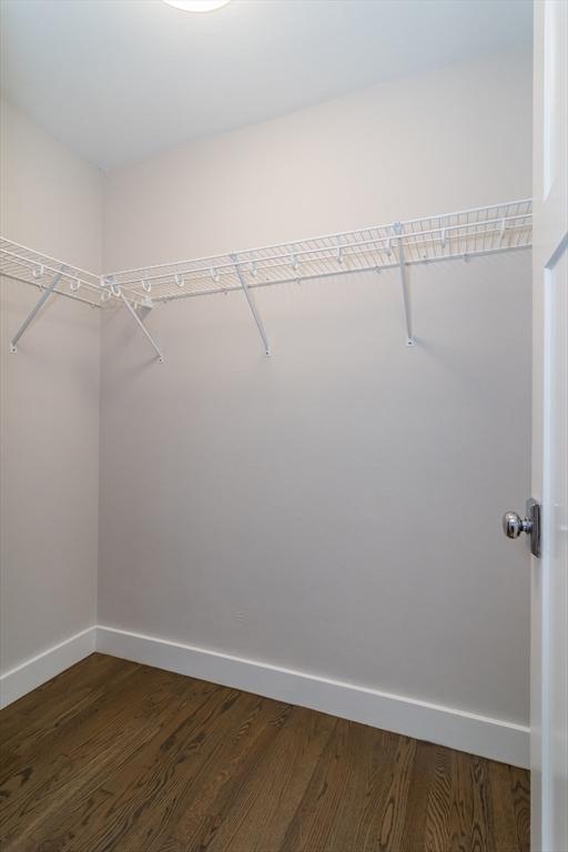 walk in closet featuring dark wood-style flooring