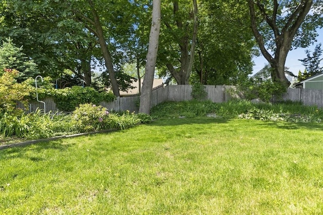 230 Beal Rd, Waltham, MA 02453 - view of yard