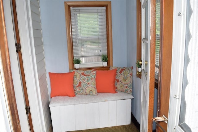 130 Windham Rd, Boston, MA 02136 - view of living area
