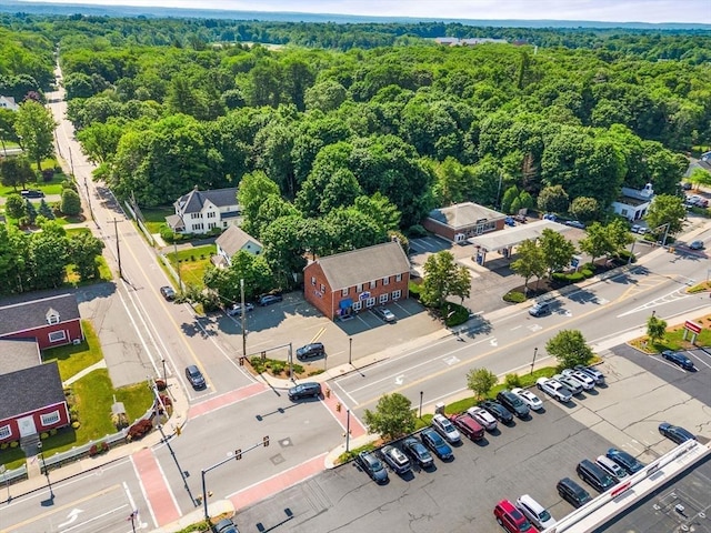 bird's eye view