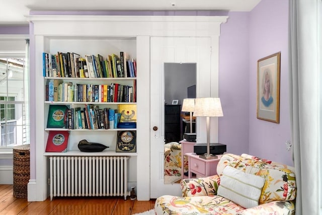 32 School St, Belmont, MA 02478 - living area featuring radiator and wood finished floors