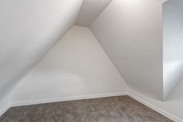 additional living space with vaulted ceiling and carpet floors