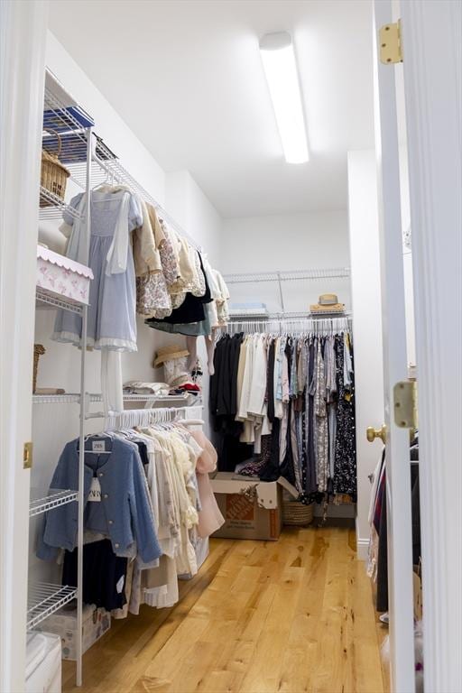 spacious closet featuring wood finished floors