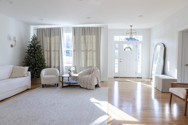 foyer entrance featuring wood finished floors and a wealth of natural light