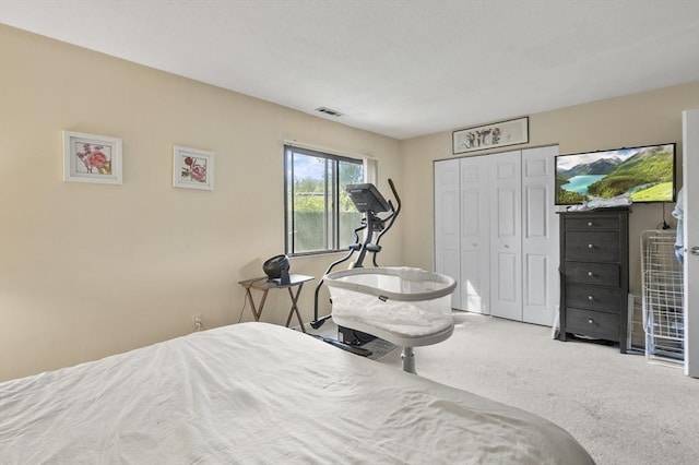 7 Thayer Pond Dr Unit 11, Oxford, MA 01537 - bedroom featuring carpet floors and a closet