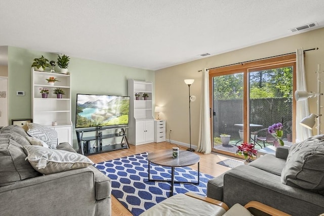 7 Thayer Pond Dr Unit 11, Oxford, MA 01537 - living area with light wood-style flooring and a textured ceiling