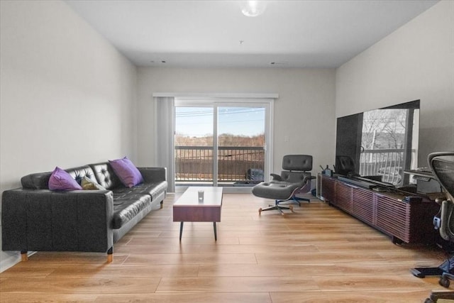 living area with wood finished floors