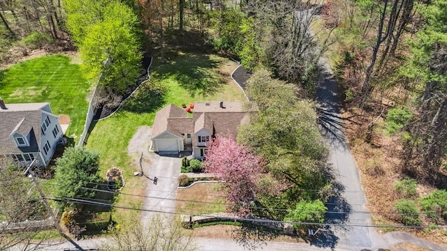 drone / aerial view