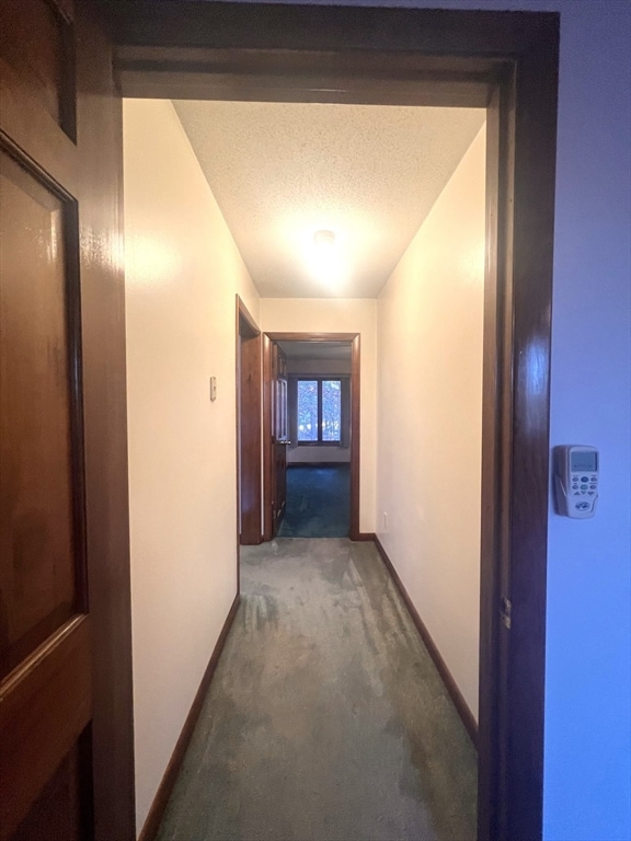 hall featuring carpet flooring and a textured ceiling