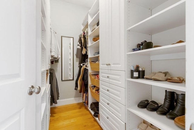 474 E 3rd Unit 2, Boston, MA 02127 - walk in closet with light wood-type flooring