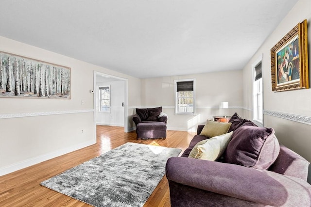 living room with hardwood / wood-style flooring