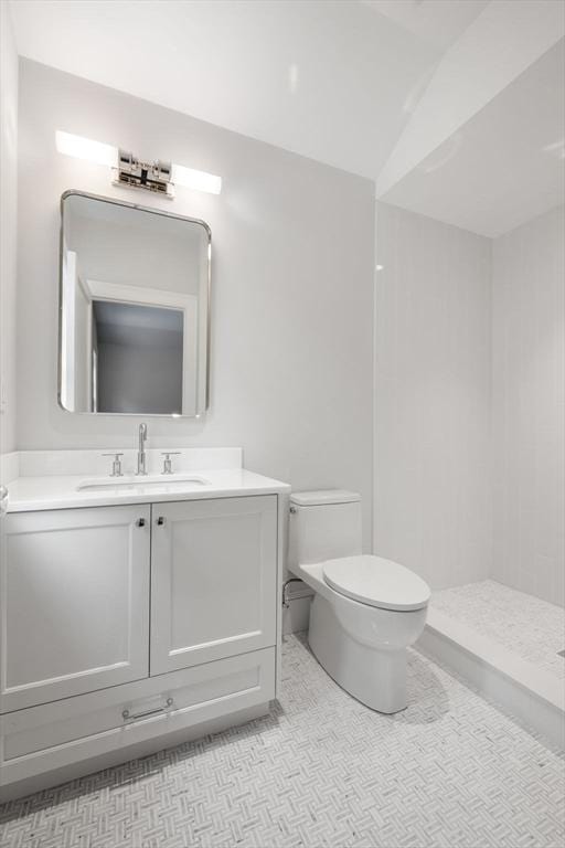 61 Heath St, Brookline, MA 02445 - bathroom with toilet, vanity, and a shower
