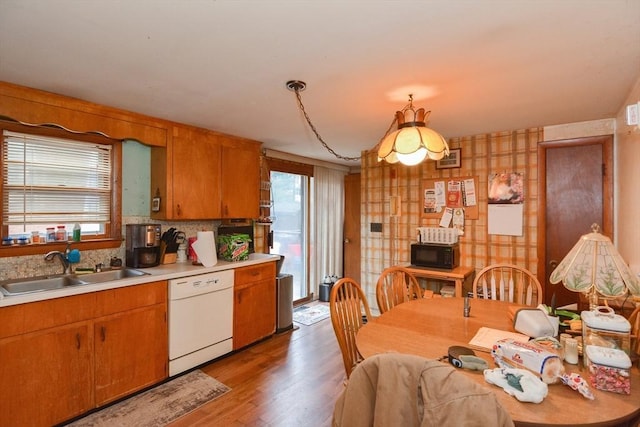 kitchen featuring decorative backsplash, white dishwasher, sink, decorative light fixtures, and hardwood / wood-style flooring