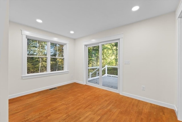 spare room featuring wood-type flooring