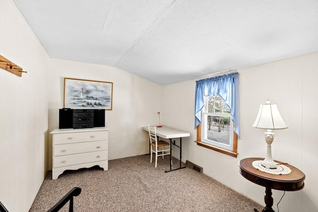 misc room featuring lofted ceiling and carpet floors