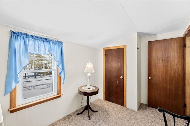 bedroom with lofted ceiling and carpet