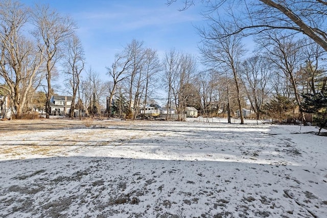 view of snowy yard