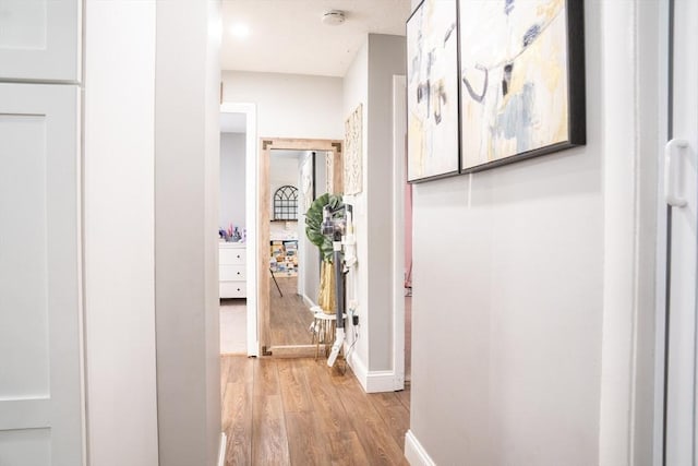 22 Hillsdale Rd, Holbrook, MA 02343 - corridor with light wood finished floors and baseboards