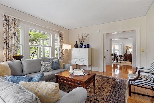 59 Elm St, Concord, MA 01742 - living room with light wood-type flooring and baseboards