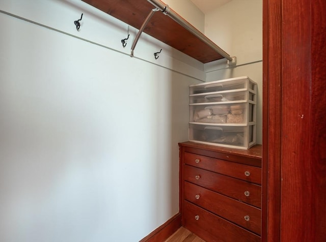 spacious closet with wood-type flooring