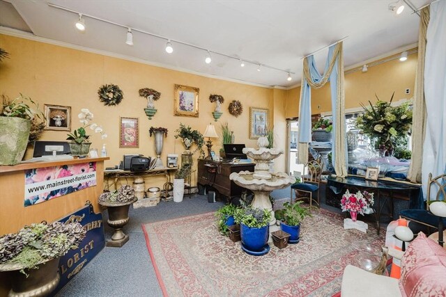 miscellaneous room featuring ornamental molding, carpet flooring, and rail lighting