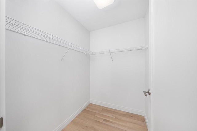 walk in closet featuring light wood-style flooring